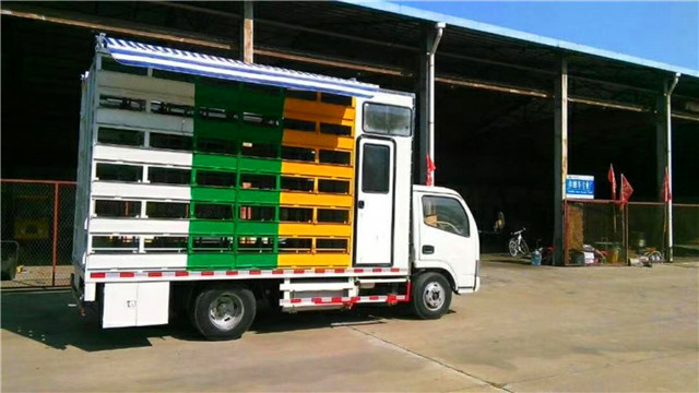 帶生活區(qū)藍牌養(yǎng)蜂車，兩邊固定意蜂箱40箱